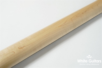 G6-HL/EWC-SP’19/BEB