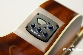 R-011 - Tobacco Sunburst