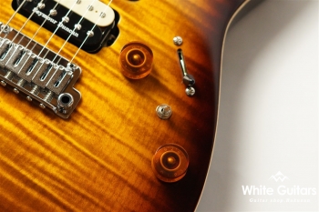 NV-3-24-AL-VTR - Bengal Burst #S2107062