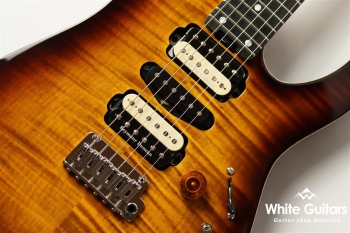 NV-3-24-AL-VTR - Bengal Burst #S2107062