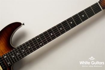 NV-3-24-AL-VTR - Bengal Burst #S2107062