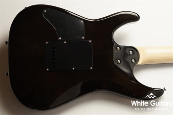 NV-3-24-AL-VTR - Bengal Burst #S2107062