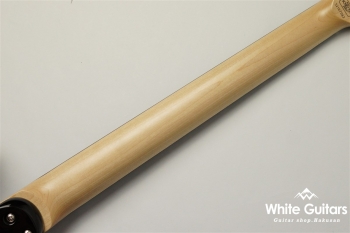 NV-3-24-AL-VTR - Bengal Burst #S2107062