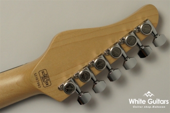 NV-3-24-AL-VTR - Bengal Burst #S2107062