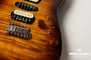 NV-3-24-AL-VTR - Bengal Burst #S2107060