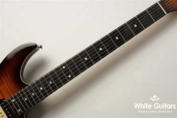 NV-3-24-AL-VTR - Bengal Burst #S2107060