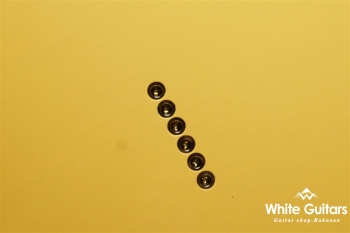 TLV-R1 - Butterscotch Blonde