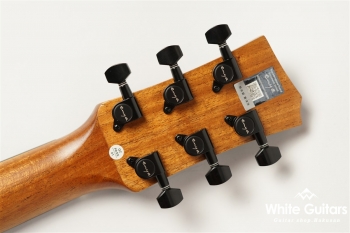 EA-X1 PRO/EQ - Sunburst