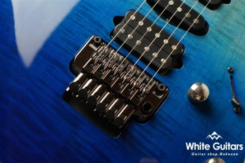 RG6PCMLTD Blue Reef Gradation