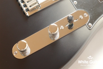 Player Plus Telecaster - Silver Smoke