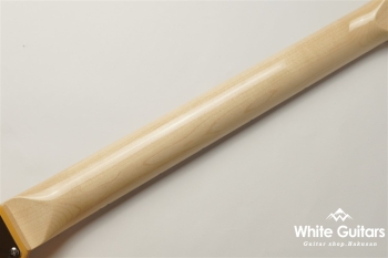 Paranormal Offset Telecaster - Butterscotch Blonde