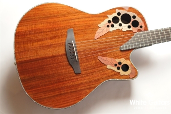 【The Celebrity Collection】 Celebrity Elite Exotic Mid Depth(CE44P)- Figured Koa