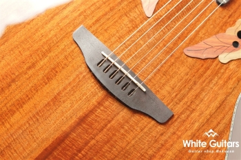 【The Celebrity Collection】 Celebrity Elite Exotic Mid Depth(CE44P)- Figured Koa