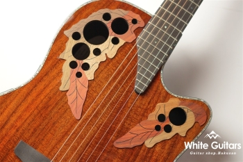 【The Celebrity Collection】 Celebrity Elite Exotic Mid Depth(CE44P)- Figured Koa