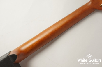 【The Celebrity Collection】 Celebrity Elite Exotic Mid Depth(CE44P)- Figured Koa