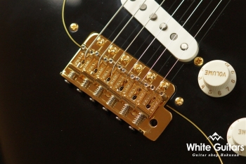 g7-ST/R GG - Black Beauty[Half Vintage Finish]