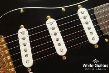 g7-ST/R GG - Black Beauty[Half Vintage Finish]