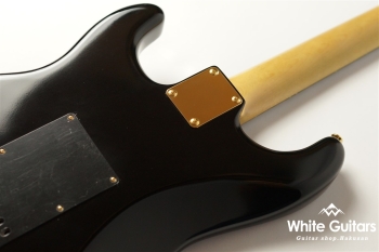 g7-ST/R GG - Black Beauty[Half Vintage Finish]