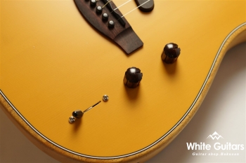 Acoustasonic Player Telecaster - Butterscotch Blonde