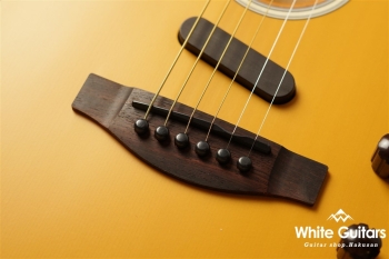 Acoustasonic Player Telecaster - Butterscotch Blonde