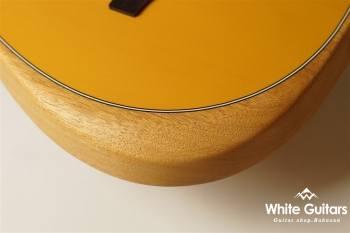 Acoustasonic Player Telecaster - Butterscotch Blonde