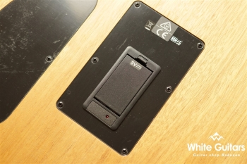 Acoustasonic Player Telecaster - Butterscotch Blonde