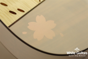 HF-Fuyuzakura’21 SF，S-ESU/ATB (SKSW) 【Deviser One Day Guitar Show 2021】