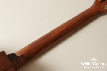 314ce V-Class - Natural