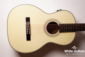 HG-MATE - Winter Blonde