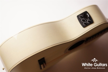 HG-MATE - Winter Blonde