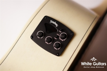 HG-MATE - Winter Blonde