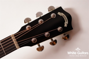 HJ-BUDDY - Winter Blonde