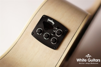 HEC-45 - Winter Blonde