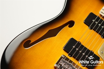 Paranormal Cabronita Telecaster Thinline - 2TS