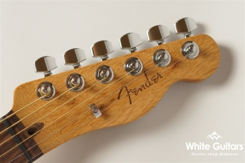 Acoustasonic Player Telecaster - Arctic White