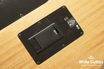 Acoustasonic Player Telecaster - Arctic White