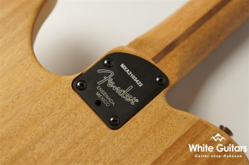 Acoustasonic Player Telecaster - Arctic White
