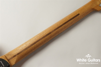 Acoustasonic Player Telecaster - Arctic White