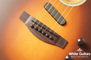 Acoustasonic Player Telecaster - Shadow Burst