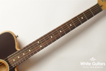 Acoustasonic Player Telecaster - Shadow Burst