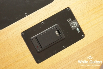 Acoustasonic Player Telecaster - Shadow Burst