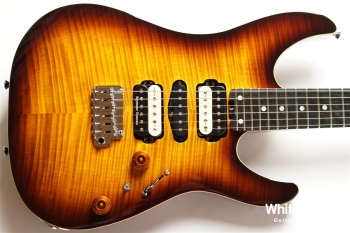 NV-3-24-AL-VTR - Bengal Burst #S2107059