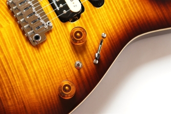 NV-3-24-AL-VTR - Bengal Burst #S2107059