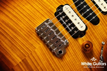 NV-3-24-AL-VTR - Bengal Burst #S2107059