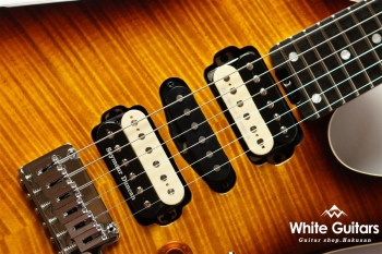 NV-3-24-AL-VTR - Bengal Burst #S2107059