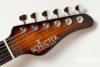 NV-3-24-AL-VTR - Bengal Burst #S2107059