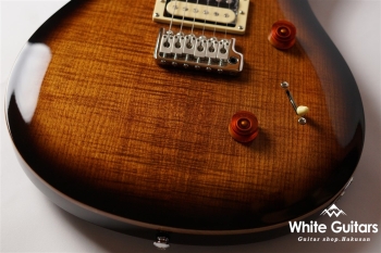 SE Custom 24 - Black Gold Burst