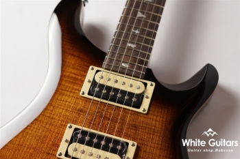 SE Custom 24 - Black Gold Burst