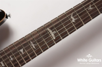 SE Custom 24 - Black Gold Burst