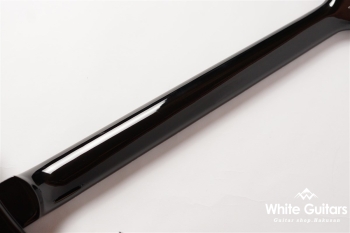 SE Custom 24 - Black Gold Burst